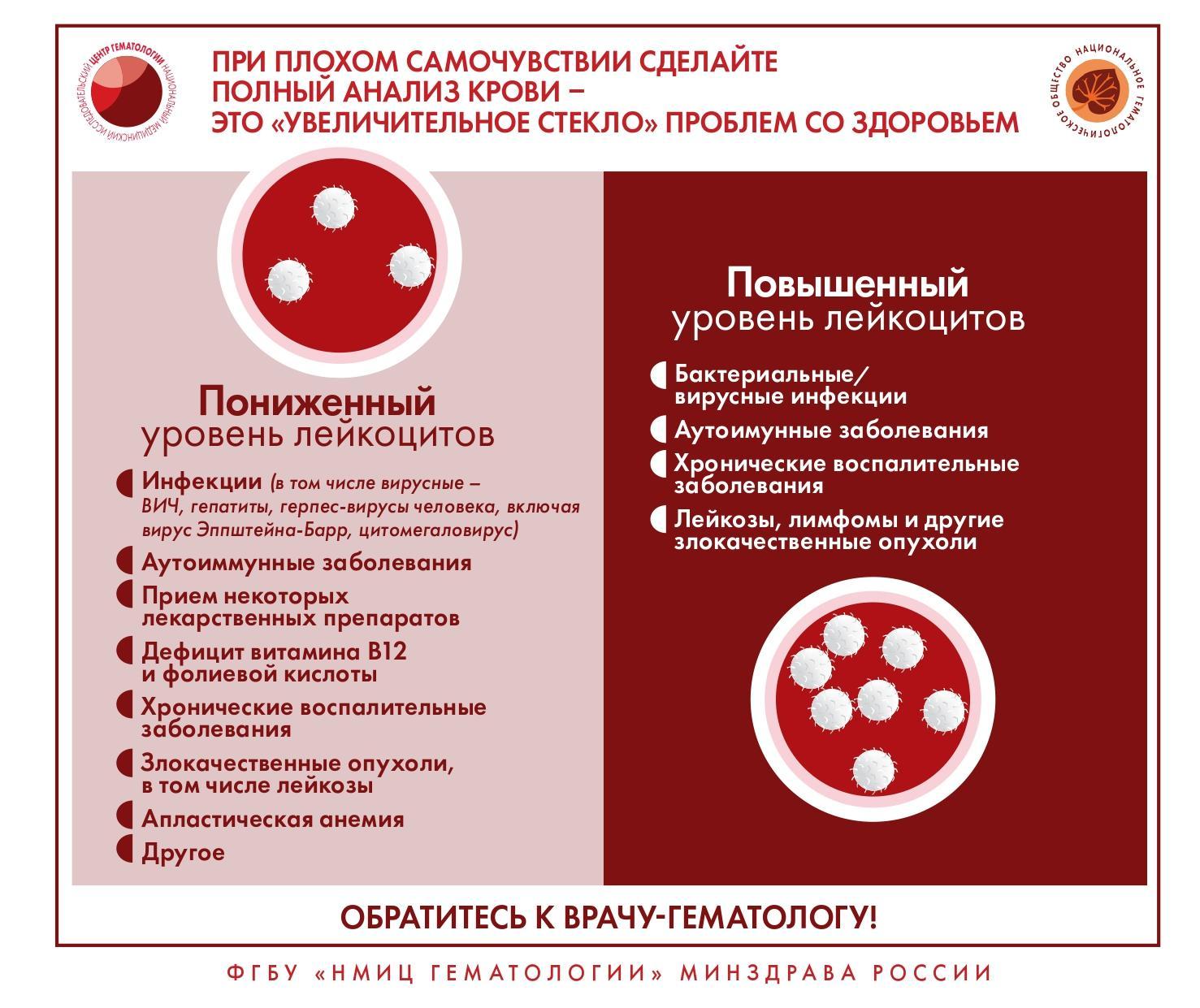 photo1681464565 1