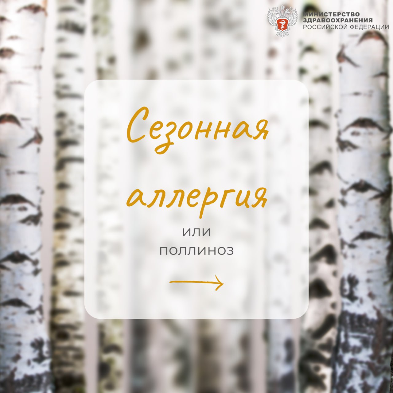 photo1683015661