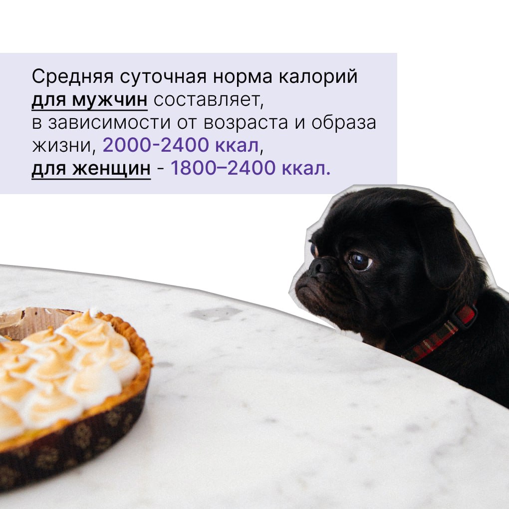 photo1681129375 6