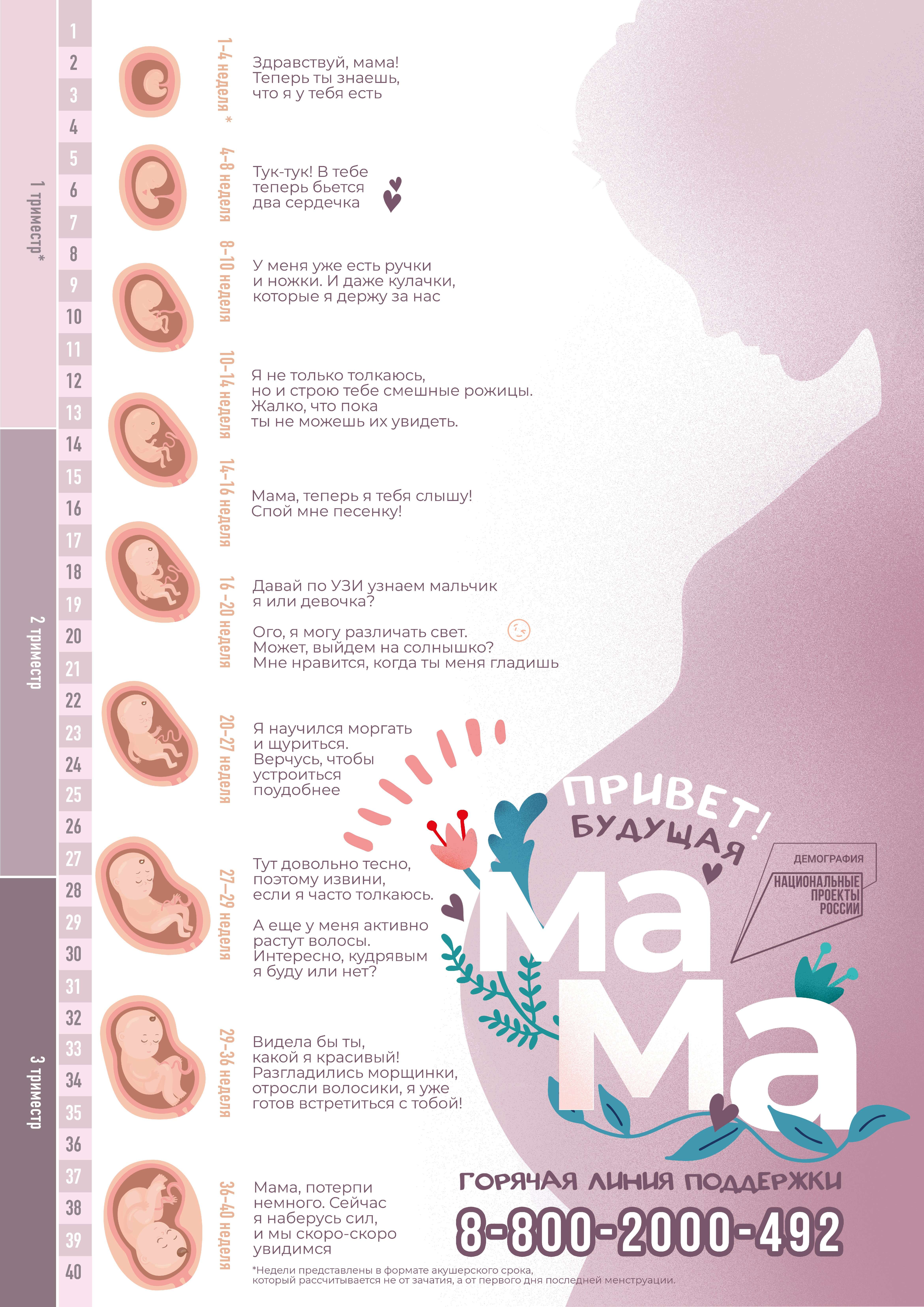 poster 39 weeks cmyk A1