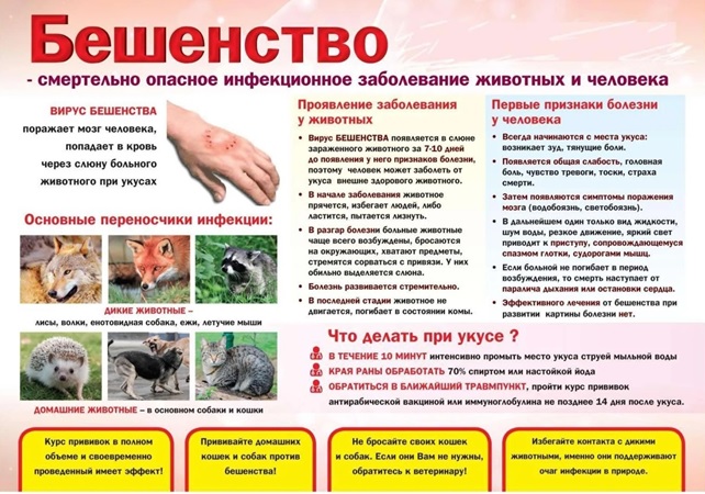 Безымянный