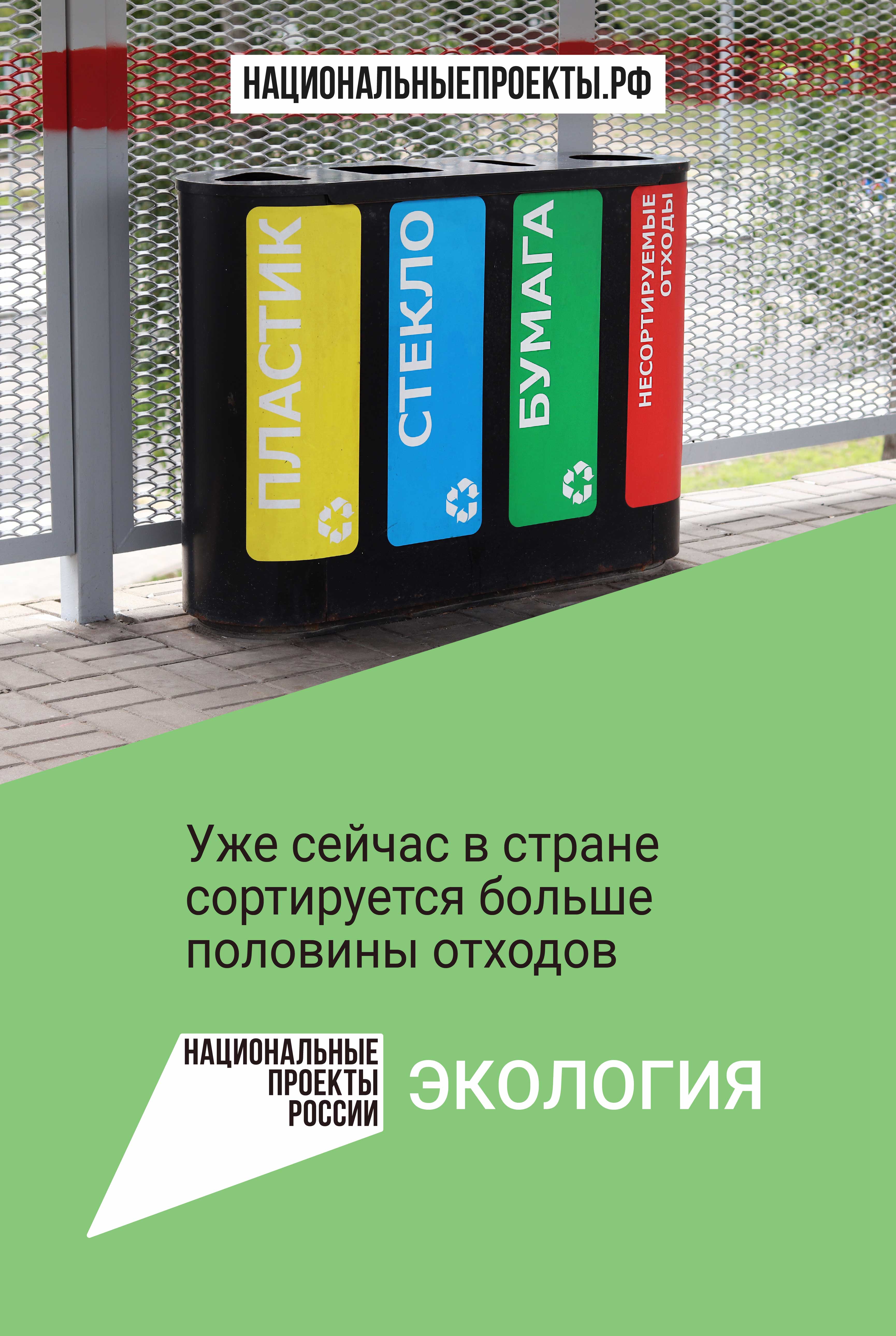 Экология Artboard 1 copy 2 20 1