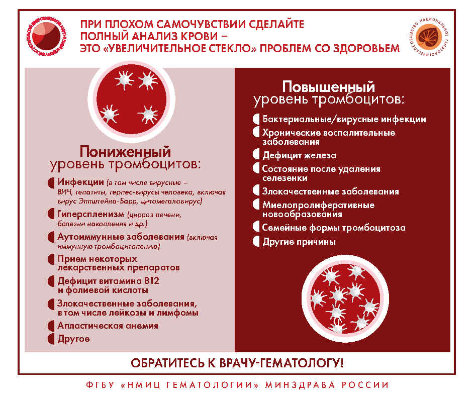 Инфографика Page11
