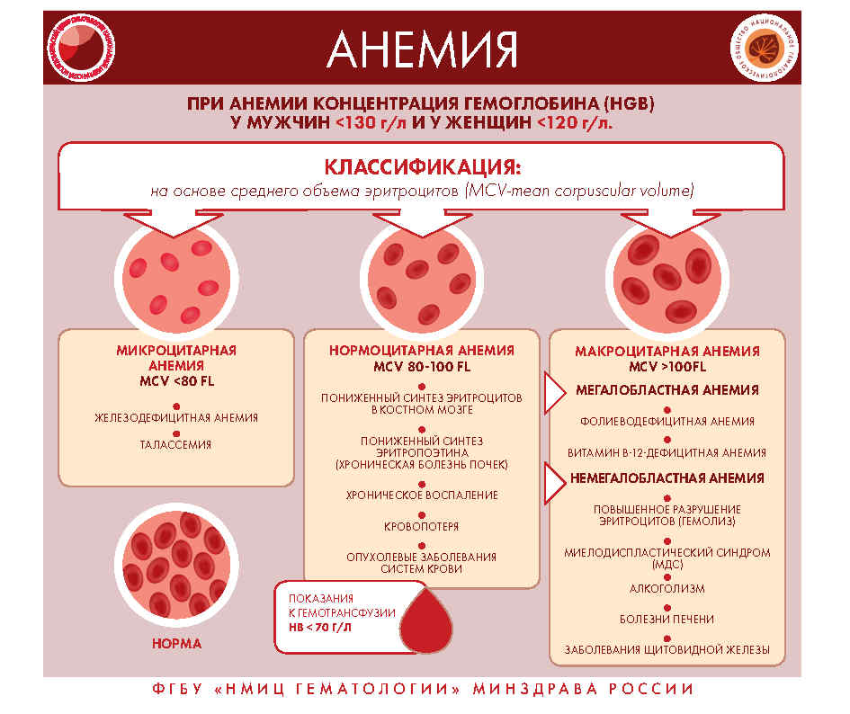 Инфографика Page12